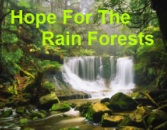 Coach Pantas' Rain Forest Website